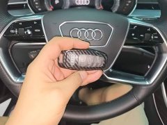Audi A8 A8L 50 TFSI quattro Comfort Heritage Edition - ფოტო 9
