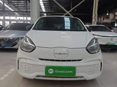 SAIC Corey Wei CLEVER 302km All-Purpose Edition - ფოტო 3
