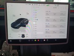 Tesla Model 3 2023 Rear-Wheel Drive - ფოტო 12