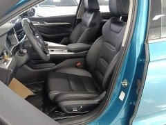 Geely Xingrui 2.0T Diesel Luxury - ფოტო 15