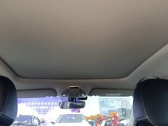 Geely Xingrui 2.0T Diesel Luxury - ფოტო 18