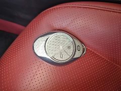 Xpeng P7 2020 670N - ფოტო 9