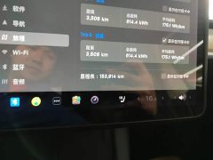 Tesla Model Y Long Range All-Wheel Drive - ფოტო 12