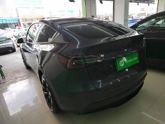 Tesla Model Y Long Range All-Wheel Drive - ფოტო 5
