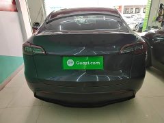 Tesla Model Y Long Range All-Wheel Drive - ფოტო 6