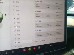 Tesla Model 3 Performance All-Wheel Drive - ფოტო 12
