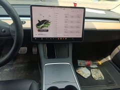 Tesla Model 3 Performance All-Wheel Drive - ფოტო 13
