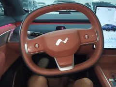 Nio Lerado L60 2025 60kWh Rear-Wheel Drive - ფოტო 11