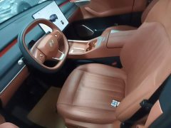 Nio Lerado L60 2025 60kWh Rear-Wheel Drive - ფოტო 15