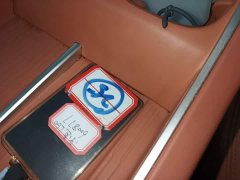 Nio Lerado L60 2025 60kWh Rear-Wheel Drive - ფოტო 9