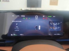 BYD Dolphin 650 Smart Drive Edition - ფოტო 12