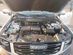 Great Wall Dachshund 2021 Facelift 1.5T DCT Two-Wheel Drive Malinois Edition - ფოტო 20
