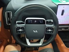 Li Auto L8 Max - ფოტო 11