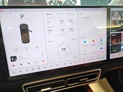 Li Auto L8 Max - ფოტო 12