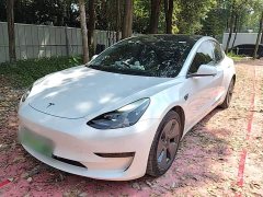 Tesla Model 3 Standard Range RWD Upgrade 3D6 - ფოტო 1