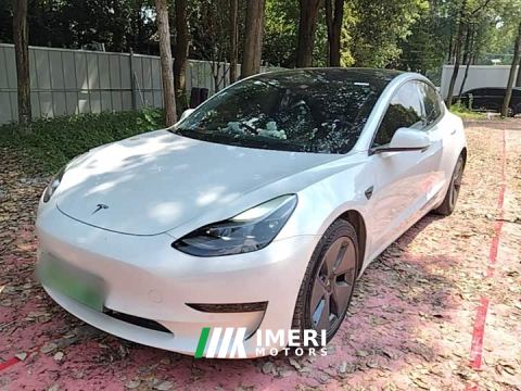 2021 Tesla Model 3 Standard Range RWD Upgrade 3D6