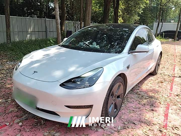 Tesla Model 3 Standard Range RWD Upgrade 3D6