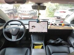 Tesla Model 3 Standard Range RWD Upgrade 3D6 - ფოტო 10