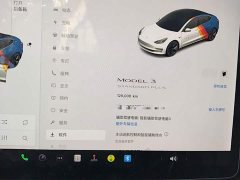 Tesla Model 3 Standard Range RWD Upgrade 3D6 - ფოტო 12
