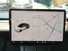 Tesla Model 3 Standard Range RWD Upgrade 3D6 - ფოტო 13