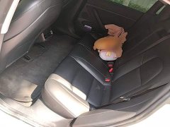 Tesla Model 3 Standard Range RWD Upgrade 3D6 - ფოტო 17