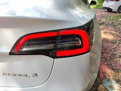 Tesla Model 3 Standard Range RWD Upgrade 3D6 - ფოტო 8