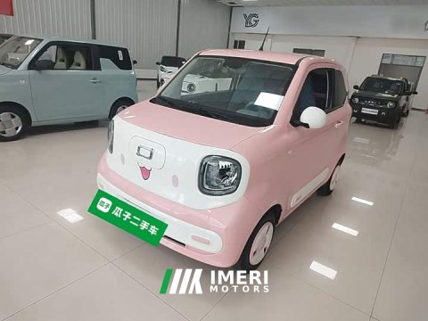 2024 FAW Besturn Xiaoma 2025 222km Lightning Edition - ავტომობილი ჩინეთიდან