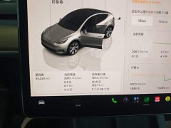 Tesla Model Y Long Range All-Wheel Drive - ფოტო 12