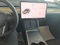 Tesla Model Y Long Range All-Wheel Drive - ფოტო 13