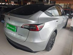 Tesla Model Y Long Range All-Wheel Drive - ფოტო 7