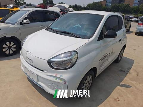 2023 Roewe Clever 311km Vitality Pop Edition
