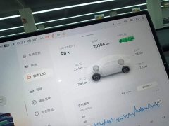 Nio Lerado L60 60kWh Rear-Wheel Drive - ფოტო 12