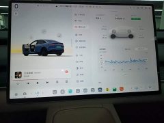 Nio Lerado L60 60kWh Rear-Wheel Drive - ფოტო 13