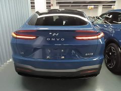 Nio Lerado L60 60kWh Rear-Wheel Drive - ფოტო 6