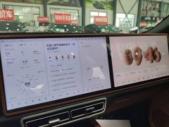 Li Auto L8 Max Intelligent Refresh Edition - ფოტო 13