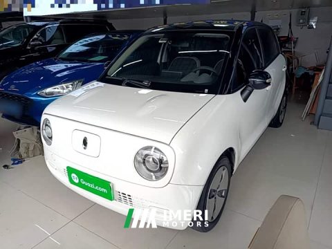 2021 ORA Black Cat 301km Cute Pet Edition - ავტომობილი ჩინეთიდან