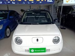 ORA Black Cat 301km Cute Pet Edition - ფოტო 3