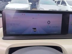 Wuling Binguo 410km Lingxi Premium Edition - ფოტო 12