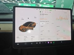 Tesla Model 3 Standard Range RWD Upgrade - ფოტო 12