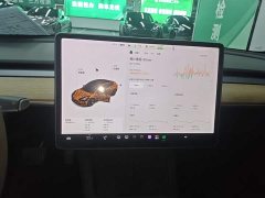 Tesla Model 3 Standard Range RWD Upgrade - ფოტო 13