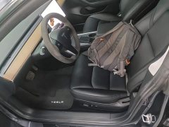 Tesla Model 3 Standard Range RWD Upgrade - ფოტო 15