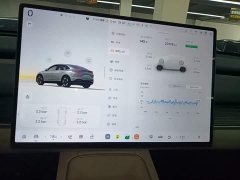 Nio Lerado L60 60kWh Rear-Wheel Drive - ფოტო 13