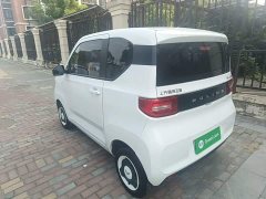 Wuling Hongguang MINIEV Easy Edition LFP Battery - ფოტო 5