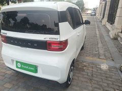 Wuling Hongguang MINIEV Easy Edition LFP Battery - ფოტო 8