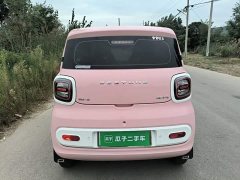 FAW Besturn Xiaoma 222km Lightning Edition - ფოტო 6