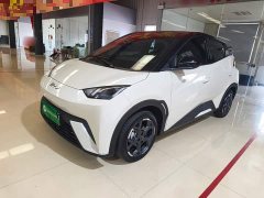BYD Seagull 305km Freedom Edition - ფოტო 1