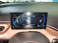 BYD Seagull 305km Freedom Edition - ფოტო 12