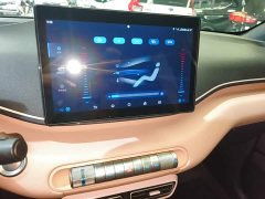BYD Seagull 305km Freedom Edition - ფოტო 13