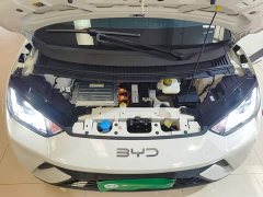 BYD Seagull 305km Freedom Edition - ფოტო 20