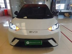 BYD Seagull 305km Freedom Edition - ფოტო 3